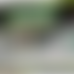 Helena Worth welsh UFO experiencer