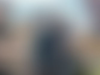 #56 Coronadagbog: Humørsvingninger