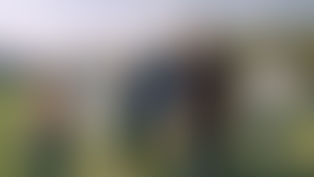 Midsommar: El duelo a plena luz