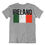 תמונה ממוזערת: חולצת דגל מדינת אירלנד Ireland State Flag T-shirt