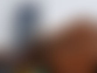 Photo Interlude: Tennessee, Y'all!