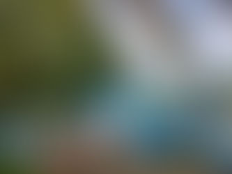 Lost and Found in Grenada (Family Adventure, Part II)