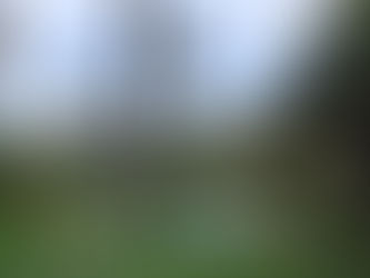 La Bella Sicilia (Italian Honeymoon, Part III)