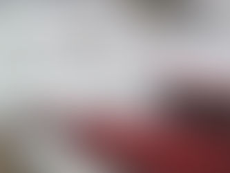 January Travels: from Palmy to Placid