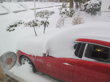 January Travels: from Palmy to Placid