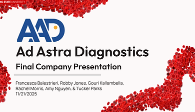 Copy of Final Presentation AAD Team 3 - November 21, 8_44 AM.png