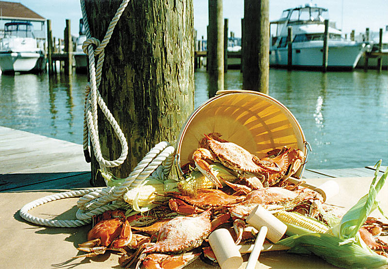 Boat Rides Kent Narrows Development Foundation Inc. United States