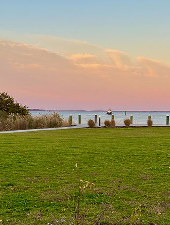 Kent Narrows Waterway in the cooler months offers miles of scenic trails through salt marshes and wood lands. Waterfowl are a big attraction for nature lovers.