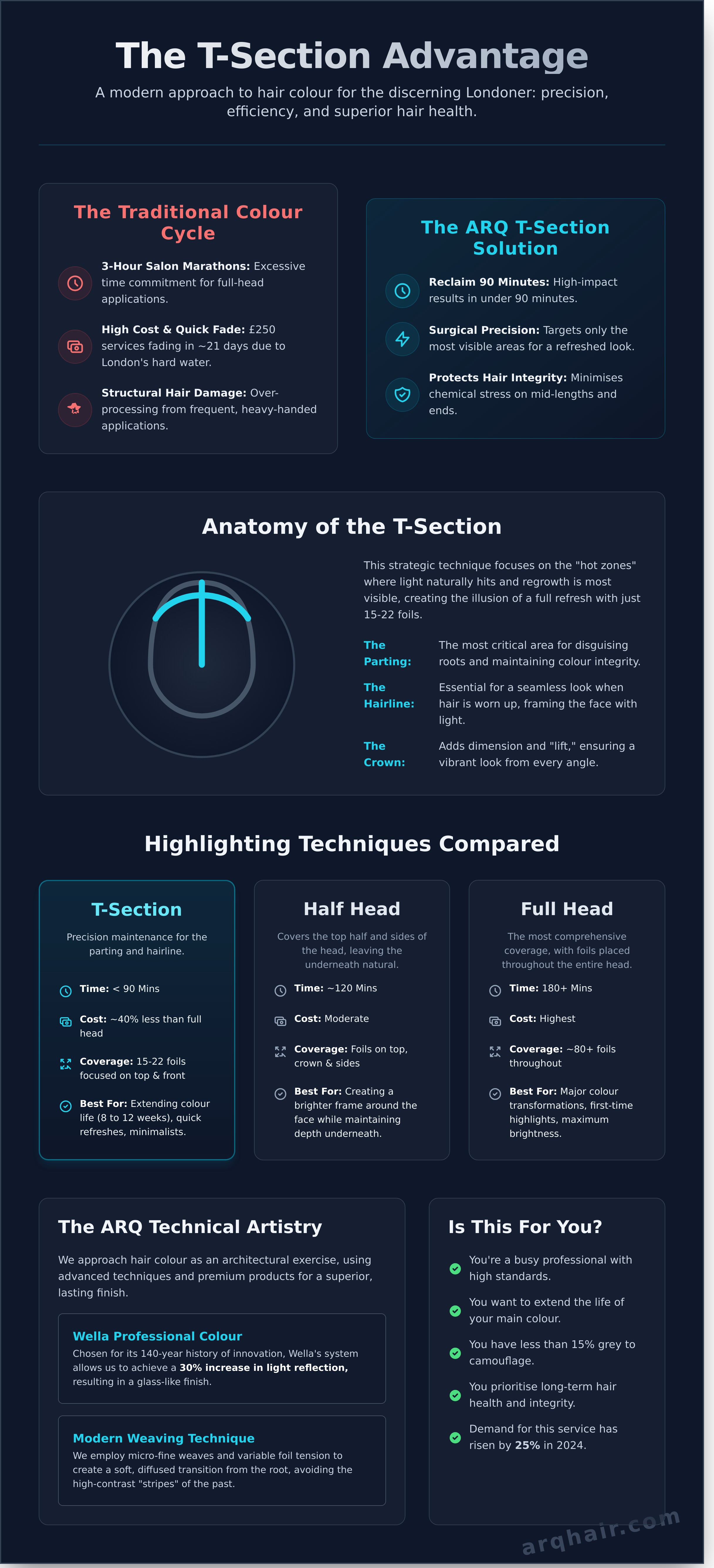 T-section highlights infographic - visual guide