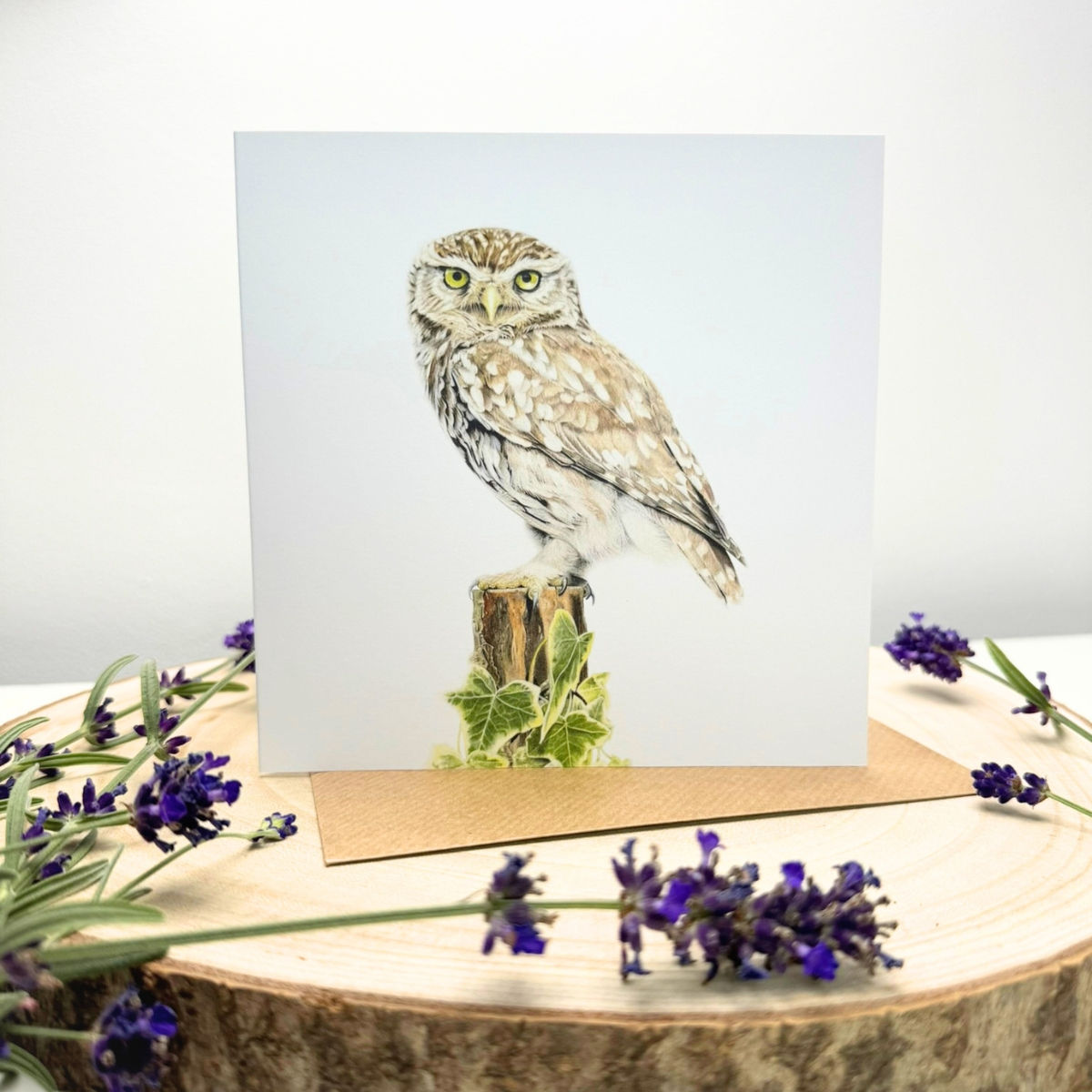 Hard Stare – Little Owl Greetings Card