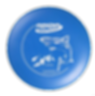 פריזבי לכלב