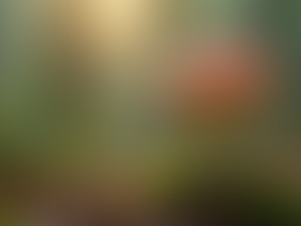 Unlocking Healing: The Transformative Power of Psychedelics in Women's Mental Health