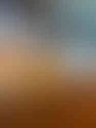 Hardwood floor restoration, before