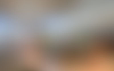 TUSTIN LIBRARY MEETING