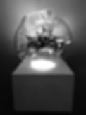 IMG_5629.jpeg