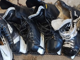 Celebrating The Impact of Our Initiatives