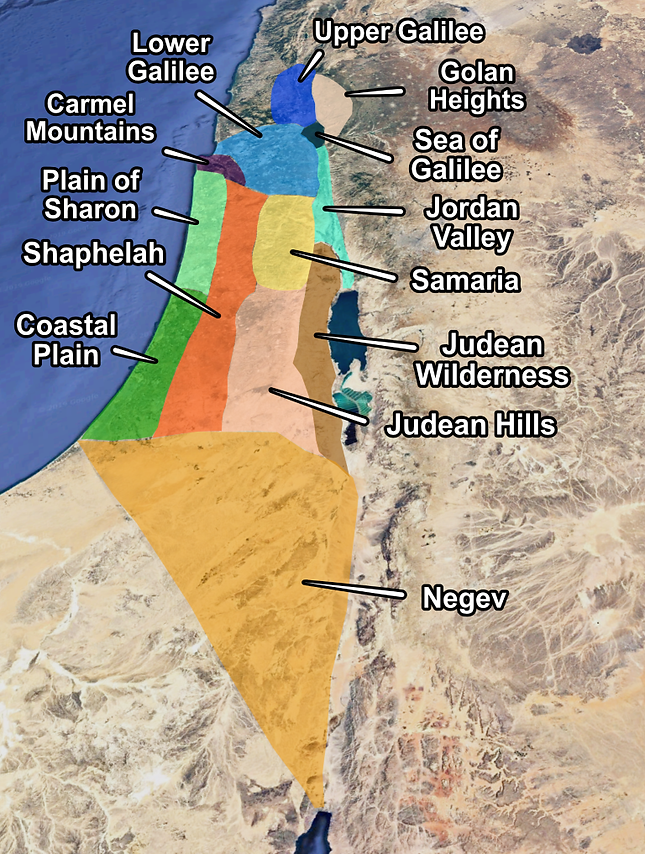Areas of Israel (Medium).png