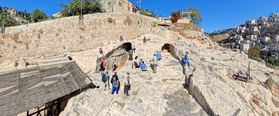 Timeline 1_00_00_45_09_edited.png