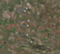 Gideon's Spring (Medium).png