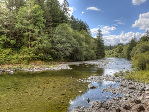 The Executive Summary of the Master Plan is here. 