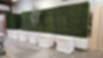 Custom Hedge Walls and Planter Boxes