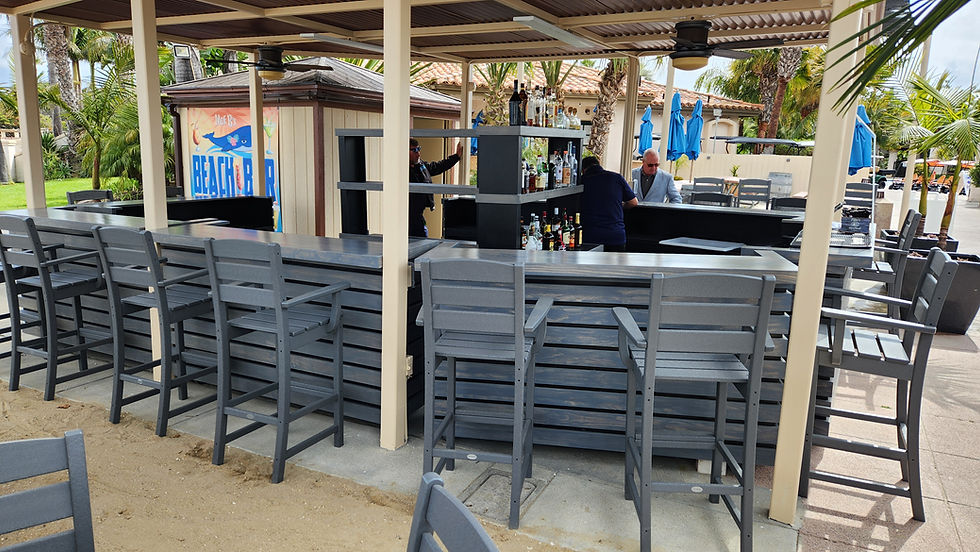 Custom Outdoor Bars and Back Bars