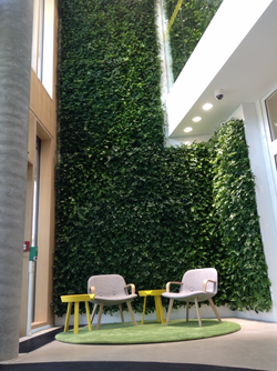 Colorado Vertical Gardening!