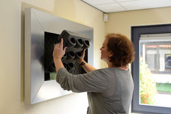 Gardening On Walls is Easy!