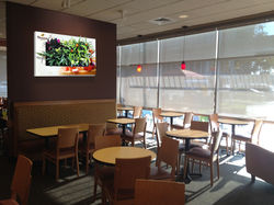 Gardening On Walls In Restaurants!