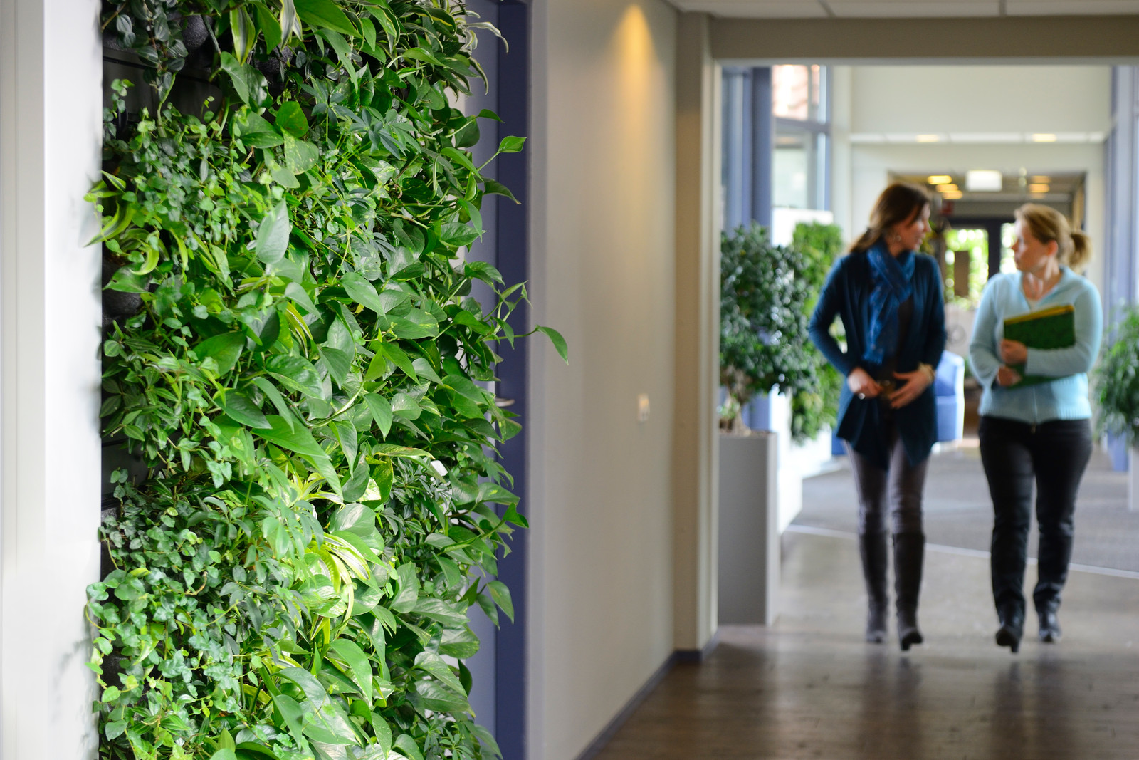 Living Walls