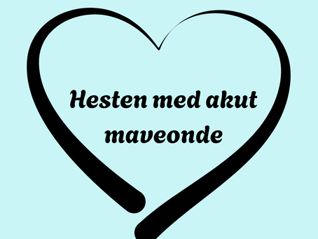 Steen fik akut ondt i maven