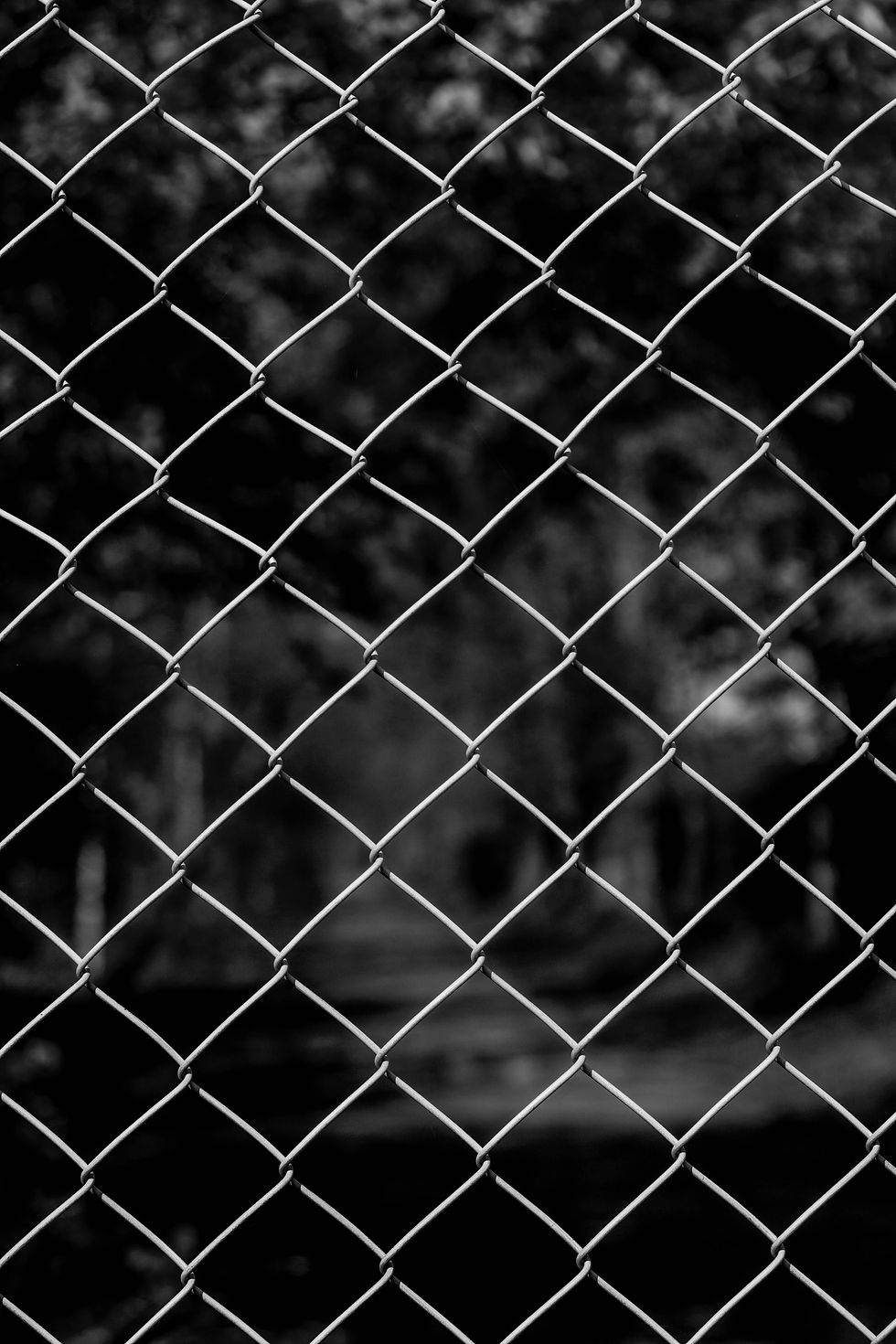 pexels-max-hoy-161194241-10810142.jpg