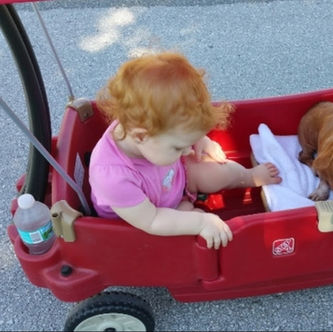 Maggie Doodle and our precious grand baby