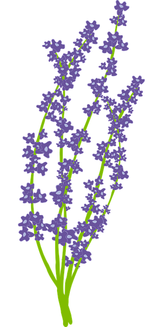 lavnder cursor.png