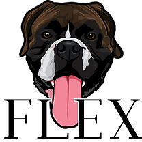 FLEX app Gym Foundations program icon focusing on mobility and movement basics from The Lifters Guild in Woodbridge
