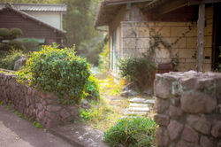 DSC05518