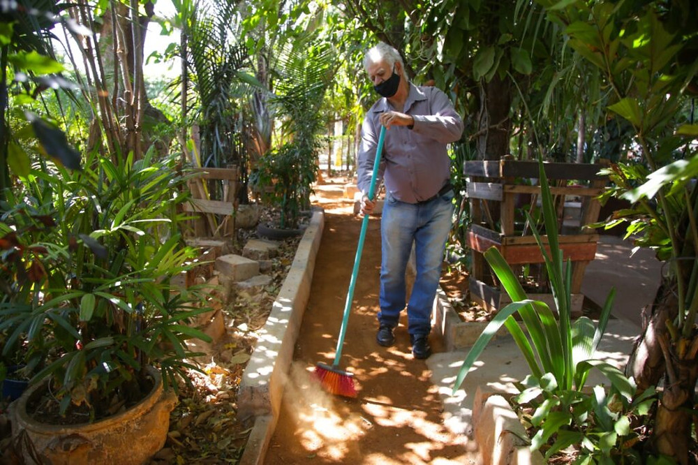 De uma pequena área nasce uma floresta em Ceilândia