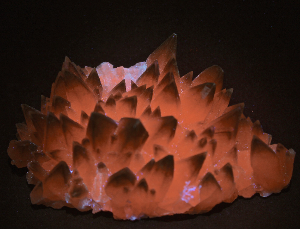 Scalenoedric calcite "dog's tooth" under LW