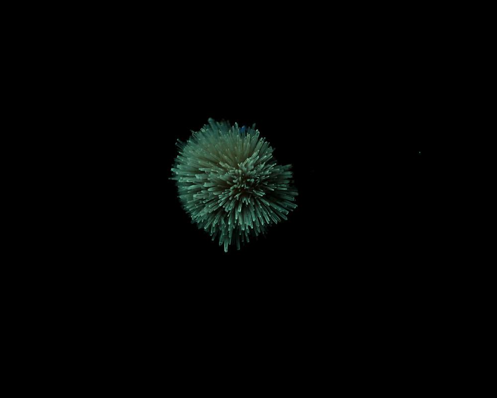 Aragonite from Pantoja, Toledo, Spain. shot under SW