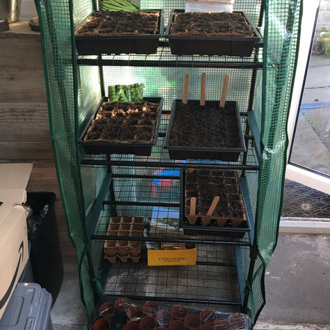 My Quest for more Sustainable Living