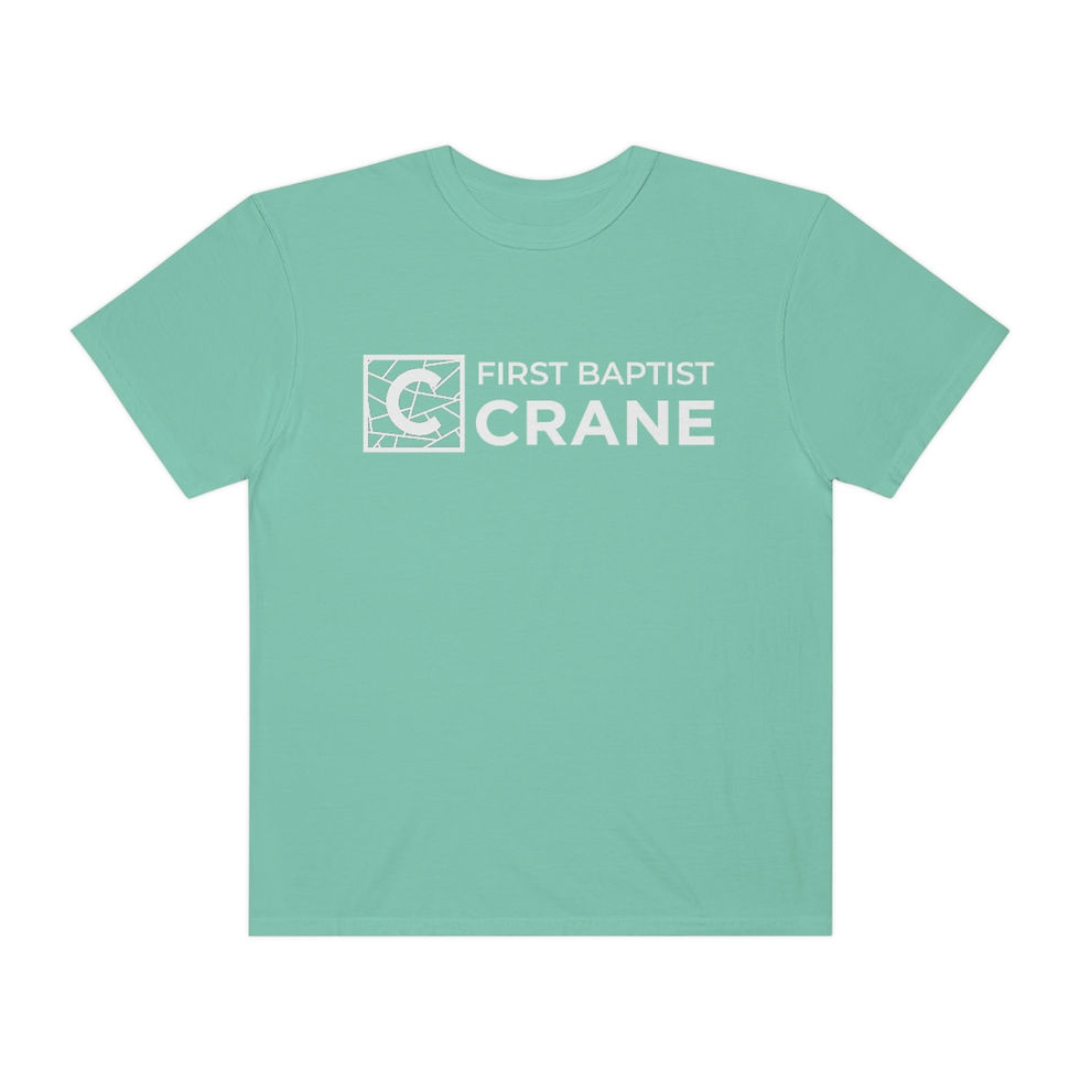 Thumbnail: FBC Crane Main Wide Comfort Color T-shirt