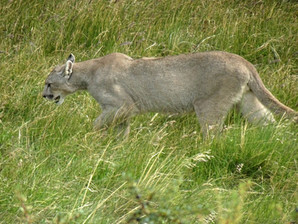 DSC02063.JPG