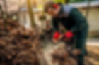 stump-grinding-bg.jpg