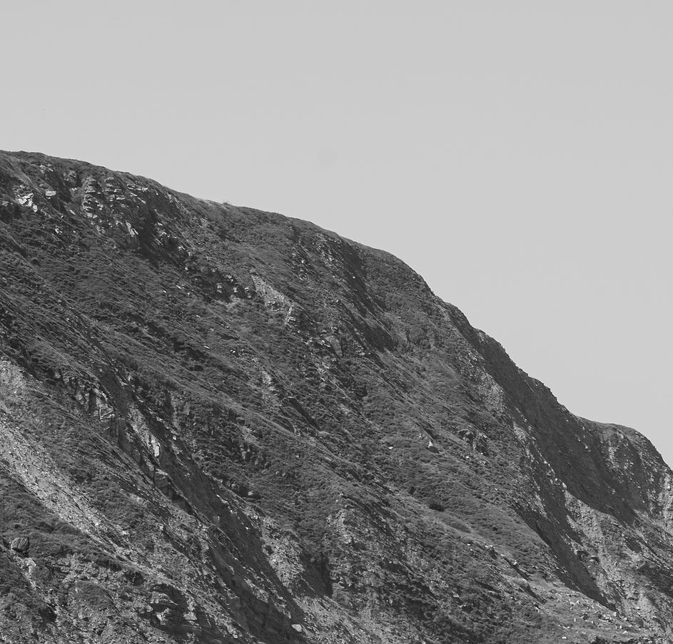 IMG FONDO 01.jpg