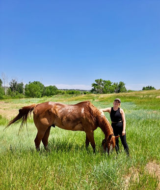 Jerilyn Forsythe horse Colorado