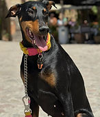 Dione Francisca Fernández Orube