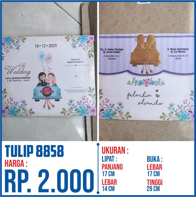 Thumbnail: Tulip Series