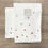 Miniatura: Zucchi Set spugna viso + ospite con ricamo 100% cotone Ginny 2410S14
