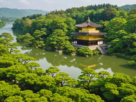 Uncharted Chronicles: A Journey Through Kyoto, Japan