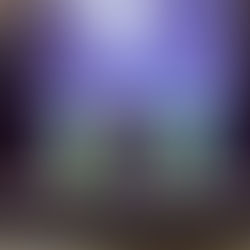 Show Freestyle Football pour les voeux du Maire